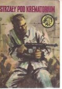 Strzały pod krematorium - Zygmunt Zonik