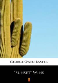 Sunset Wins - Owen Baxter George