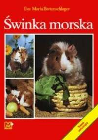 Świnka morska - Maria Eva Bartenschlager