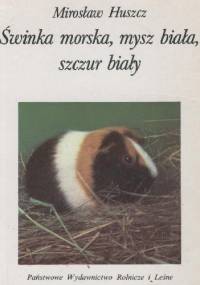 Świnka morska, mysz biała, szczur biały - Mirosław Huszcz