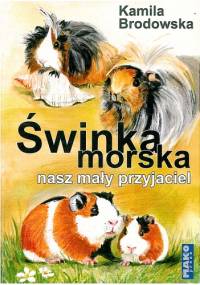 Świnka morska - nasz mały przyjaciel - Kamila Brodowska