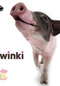 Świnki - Giorgio Ferrero