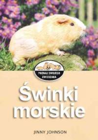 Świnki morskie - Jinny Johnson