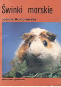 Świnki morskie - Joanna Komorowska