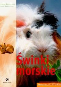 Świnki morskie. zwierzęta w domu - Katrin Behrend, Karin Skogstad