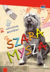 Szara Mysza - Waldemar Wolański