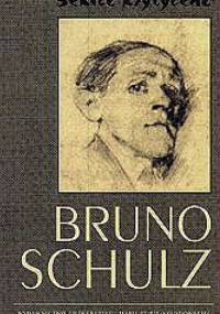 Szkice krytyczne - Bruno Schulz
