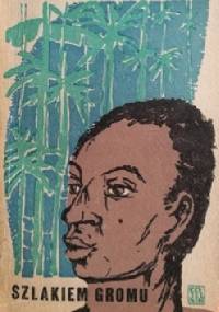 Szlakiem gromu - Peter Henry Abrahams