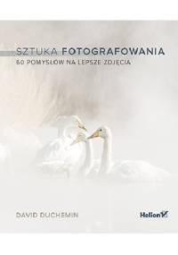 Sztuka fotografowania. 60 pomysłów na lepsze zdjęcia - David duChemin