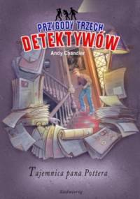 Tajemnica pana Pottera. Przygody trzech detektywów - Andy Chandler