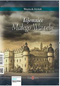 Tajemnice Małego Wawelu - Wojciech Malicki