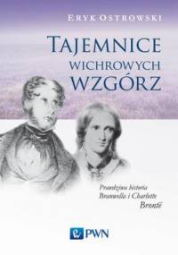 Tajemnice wichrowych wzgórz - Eryk Ostrowski