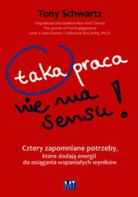 Taka praca nie ma sensu! - Tony Schwartz