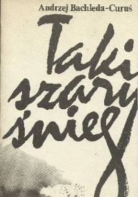 Taki szary śnieg - Andrzej Bachleda-Curuś