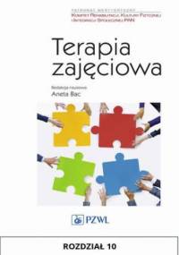 Terapia zajęciowa. Rozdział 10 - Żychowicz Paweł