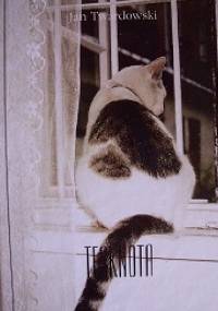 Tęsknota - Jan Twardowski