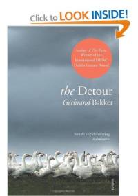 The Detour - Gerbrand Bakker
