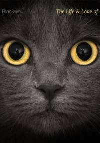 The Life and Love of Cats - Lewis Blackwell