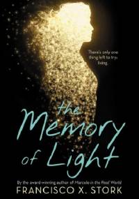 The Memory of Light - Francisco X. Stork