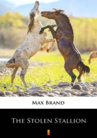 The Stolen Stallion - Max Brand