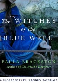 The Witches of the Blue Well - Paula Brackston