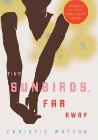 Tiny Sunbirds Far Away - Christie Watson