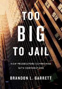 Too Big to Jail - Brandon Garrett