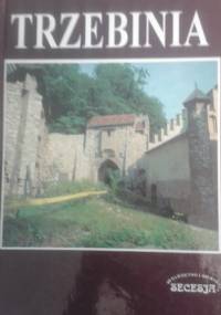 Trzebinia. Zarys dziejów miasta i regionu - Feliks Kiryk