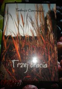Trzej bracia - Tadeusz Czerniawski