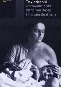 Trzy dzienniki - Ingmar Bergman