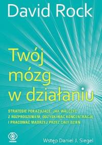 Twój mózg w działaniu - David Rock
