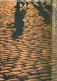 Ulica Czarnych Ptaków - Iain Menzies Banks