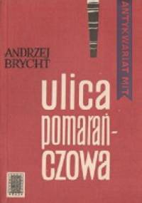Ulica pomarańczowa - Andrzej Brycht