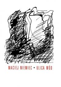 Ulica wód - Maciej Niemiec