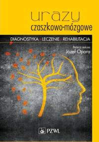 Urazy czaszkowo-mózgowe. Diagnostyka. Leczenie . Rehabilitacja