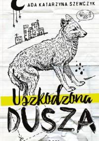 Uszkodzona dusza - Ada Katarzyna Szewczyk