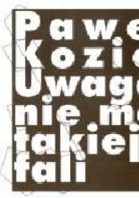 Uwaga, nie ma takiej fali - Paweł Kozioł