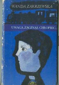 Uwaga, zaginął chłopiec... - Wanda Zakrzewska