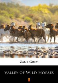 Valley of Wild Horses - Zane Grey