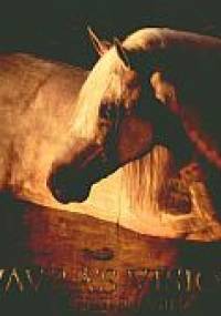 Vavra&s Vision. Equine Images - praca zbiorowa