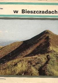 W Bieszczadach - Roman Izbicki, Tadeusz Sumiński