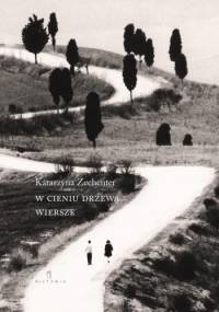 W cieniu drzewa - Katarzyna Zechenter