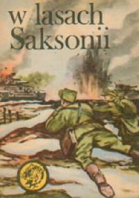 W lasach Saksonii - Waldemar Kotowicz