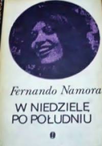 W niedzielę po południu - Fernando Namora