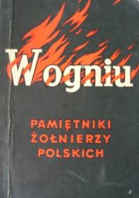 W ogniu. Pamiętniki żołnierzy polskich - praca zbiorowa