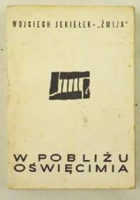 W pobliżu Oświęcimia - Wojciech Jekiełek