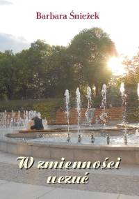 W zmienności uczuć - Barbara Śnieżek