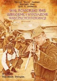 Wał Pomorski 1945. Uzbrojenie i wyposażenie walczących formacji