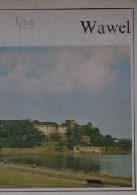 Wawel - Antoni Franaszek