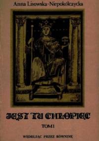 Wędrując przez równinę - Anna Lisowska-Niepokólczycka